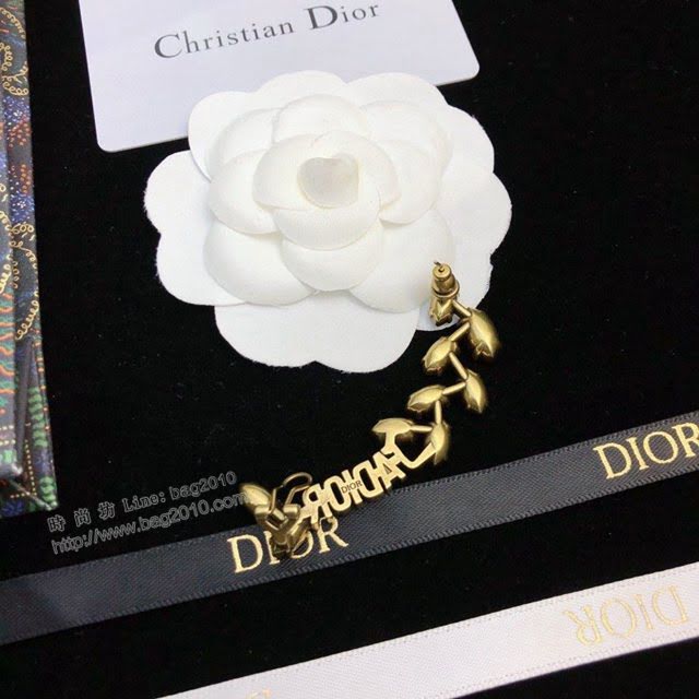 Dior飾品 迪奧經典熱銷款單邊耳釘DIOR馬眼系列葉子鑽石髮卡髮夾  zgd1471